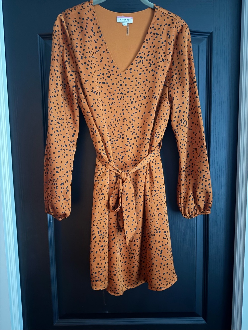 Animal Print Dress